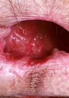 ATK Petites: Sia Wood (Sia Wood in black leather and knee-high boots)