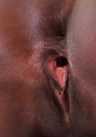 Sunyane's Chocolate Booty Spread, Sunyane (sun031) ATK Exotics: Sunyane (Sunyane's Chocolate Booty Spread)