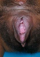 Terrari from ATK Exotics