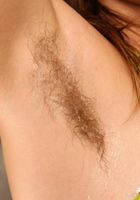 Usnea in scary hairy, Usnea (usn001) ATK Natural & Hairy: Usnea (Usnea in scary hairy)