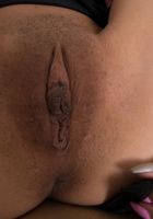 Vina Sky in asians, Vina Sky (vin002) ATK Exotics: Vina Sky (Vina Sky in asians)
