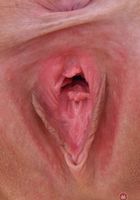 Violet Winters from ATK Exotics