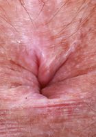 ATK Natural & Hairy: Violet Viper (Violet Viper is happy to see you)