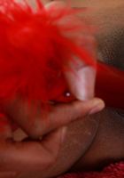 Ziva The Diva in toys, Ziva The Diva (ziv001) ATK Exotics: Ziva The Diva (Ziva The Diva in toys)