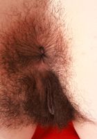 Zoey Jpeg shows off her fur, Zoey Jpeg (zoe049) ATK Natural & Hairy: Zoey Jpeg (Zoey Jpeg shows off her fur)