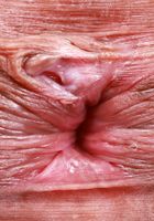 Zoey Jpeg from ATK Natural & Hairy